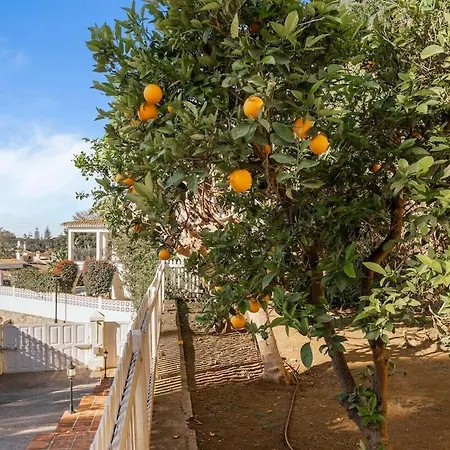 ヴィラ Unforgettable Luxury In - Rdr461 マルベーリャ