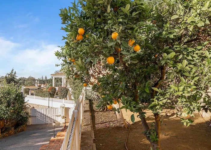 Villa Unforgettable Luxury In - Rdr461 Marbella